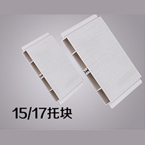15-17-托块